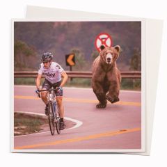 Bear chasing cyclist - 6x6
