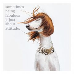 Fabulous attitude - 6.5x6.5