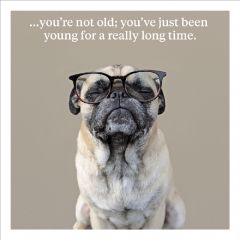 Youre not old - 6.5x6.5