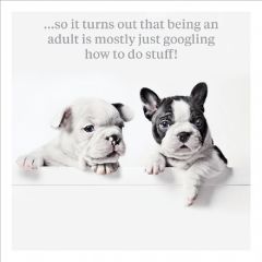 Being an adult - 6.5x6.5