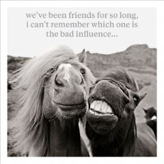 Friends, bad influence - 6.5x6.5
