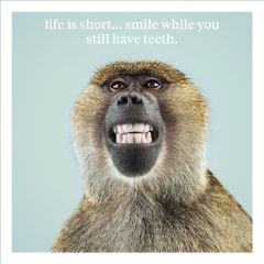 Life is short - 6.5x6.5