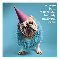 Born to be wild - 6.5x6.5
