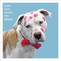 Your face needs kisses - 6.5x6.5