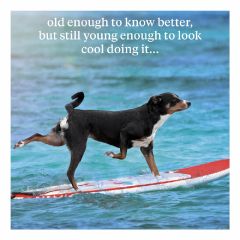 Old enough to know better - 6.5x6.5