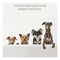 All shapes and sizes - 6.5x6.5