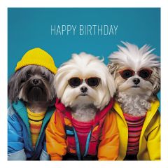 Happy Birthday shaggy dogs - 6.5x6.5