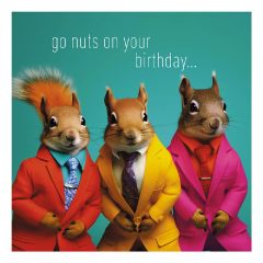 Go nuts, squirrels - 6.5x6.5