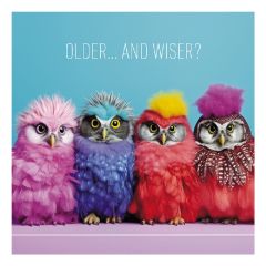 Older and wiser, owls - 6.5x6.5