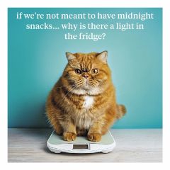 Midnight snacks - 6.5x6.5