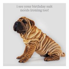 Birthday suit needs ironing - 6.5x6.5