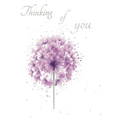 Thinking of You, Allium - 5x7