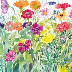 Summer annuals - 6x6