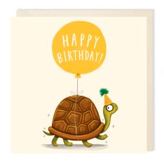 Birthday, Tortoise - 6x6