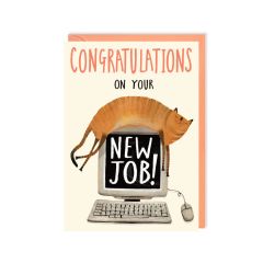 New Job, Cat - 4x6
