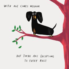 Wisdom - 6x6