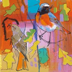 Redstarts - 6x6