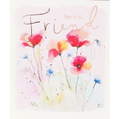 Special friend, happy Birthday - 5.5x6.25