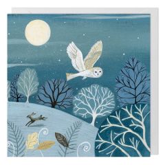 Blank, Owl - 6x6
