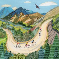 Cycling in the mountains - 6x6