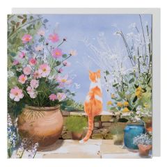 Cat - 6X6