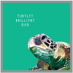 Brilliant dad, turtle - 5.5x5.5