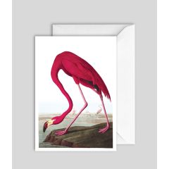 Pink Flamingo - 5x7