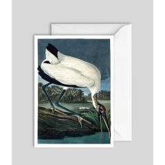 Wood Ibis - 5x7