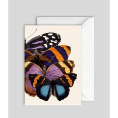Butterflies - 5x7