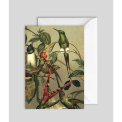 Hummingbirds - 5x7