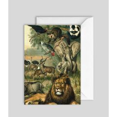 African Animals - 5x7