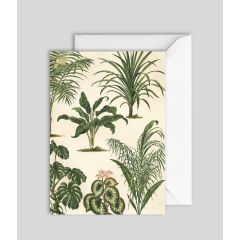 Plants - 5x7