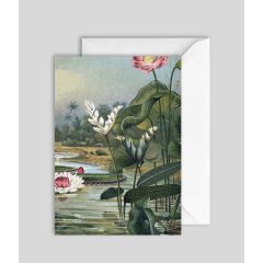 Water Plants - 5x7