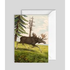 Moose - 5x7