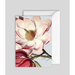 Himalayan Magnolia - 5x7