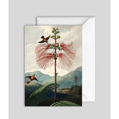Tree of Flowers - 5x7