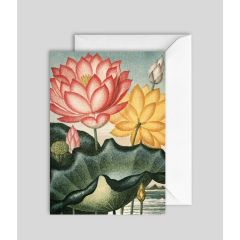 Lotus - 5x7