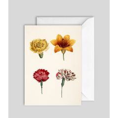 Compound Flower - 5x7