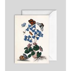 Butterflies and flowers - 5x7
