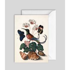 Hummingbird, butterflies, flowers - 5x7