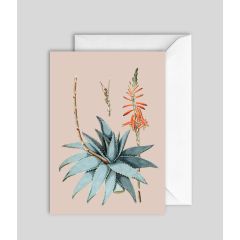 Aloe Vera - 5x7