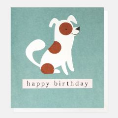Happy birthday, spotty dog - 5x5