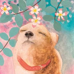 Dog Rose - 6x6