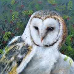 Barn owl and berries - 6x6