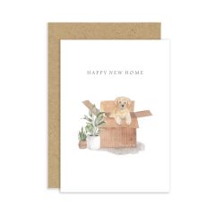 New home, puppy in box - 4x6
