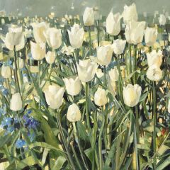 White Tulip Garden - 6x6