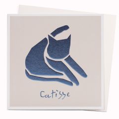 Catisse - 6x6