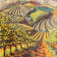 Oliver groves and vineyards - 6x6