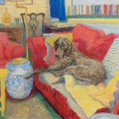 Darwin at home - 6x6