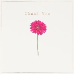 Thank you, gerbera - 6x6